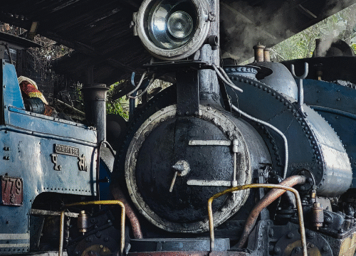 Darjeeling Deep Dive: The Tea, The Tracks, and The Timeless Charm